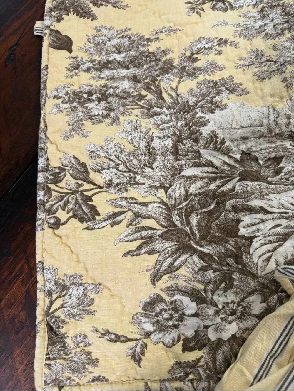 Pottery Barn Yellow and Brown Toile Pillow Shams (Pair)